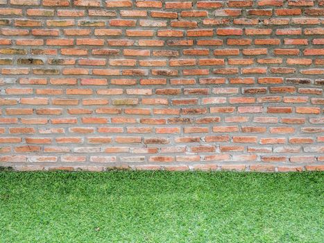 brick wall and green grass for background with copy space