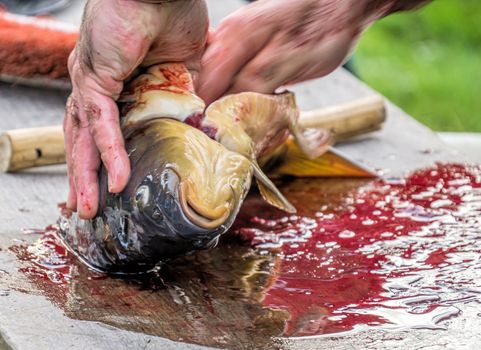 Except for a freshly caught carp at a fishing festival in Lower Saxony, Germany. motion blur 