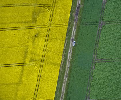 Abstract aerial photograph of arable land with one path, separated into a yellow planted and a green half, taken with the drone