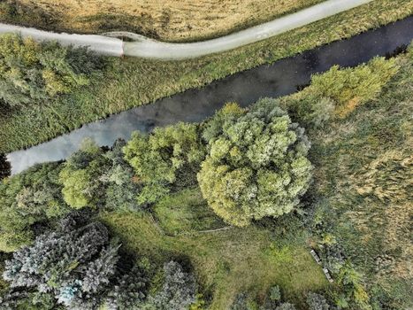 Abstract aerial view of a straightened stream next to a meadow with a large, isolated green tree, made by drone
