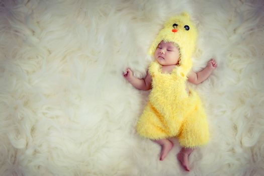 newborn baby portrait. Happy sleeping lovely cute Asian baby wearing yellow chicken dress suite for Asia Chinese sign zodiac year sleep on furry soft fabric with sweet daydream. Copy space for text.