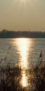 Bright winter sun is reflected in the early morning in a large pond, abstract