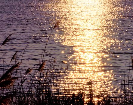 Bright winter sun is reflected in the early morning in a large pond, abstract