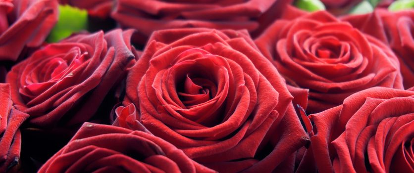 Red roses in a container, background