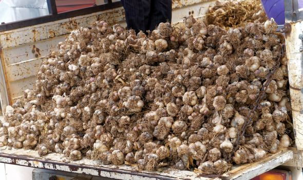 Truck, fully loaded with garlic, in front of the market in Nevsehir, Anatolia, Turkey, closeup