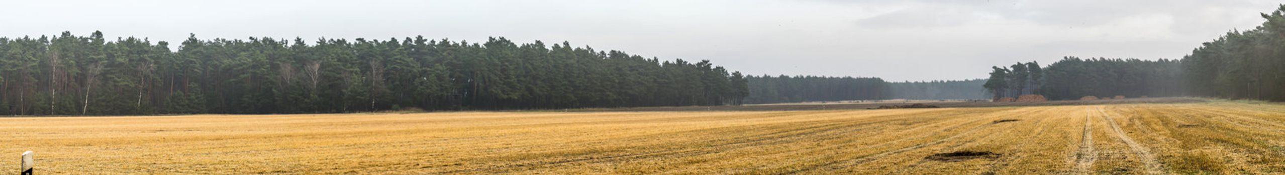 Panorama of a harvested arable land in front of a strip with dense forest stand, with a lot of free space for text, as header for a website, stitched