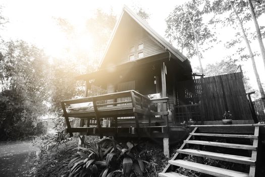 Thai house made from hard wood on river side in black and white with sunlight and lens flare. The unique style of high roof is suitable for tropical country