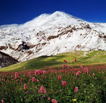 The highest peak in Europe is Mount Elbrus,altitude 5642 meters.
