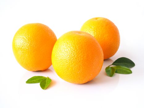 Bright yellow color of citrus oranges fruits with green leaves isolated on white background.