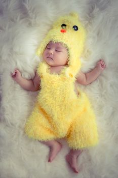 Baby portrait  :Happy sleeping Asian baby wearing yellow rooster for Chinese sign of zodiac year dress suit sleep on furry soft fabric with sweet daydream. Portrait of first month Asia baby model.
