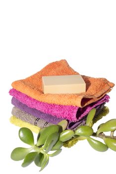 soap on facecloths of various shades with natural green plant