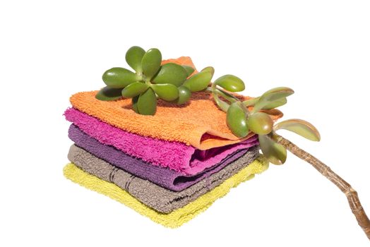 facecloths of various shades with natural green plant