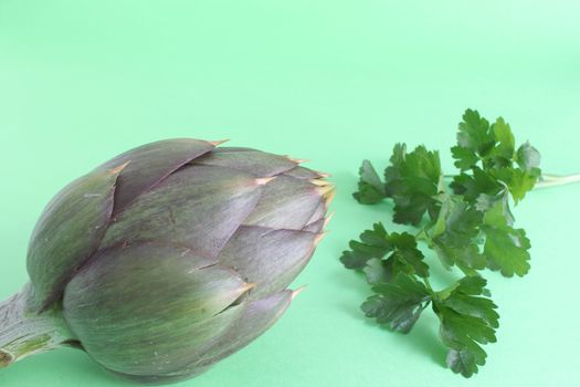 Raw spiny artichokes isolated on green background