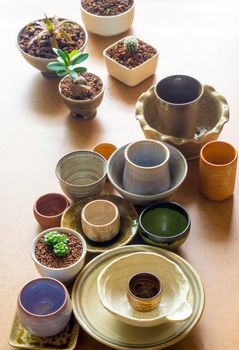 Small houseplant in the ceramic pots adapted from ceramic bowls