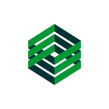 Hexagon Green Box Plaited Logo Template Illustration Design. Vector EPS 10.