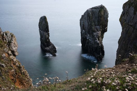 The Stack Rocks at Castlemartin Pembrokeshire Wales UK