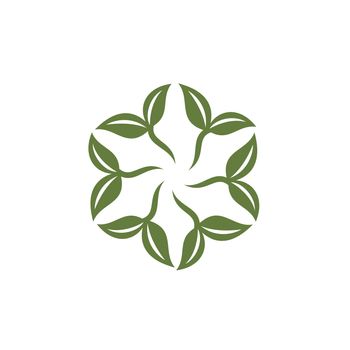 Flower Star Decorative Logo Template Illustration Design. Vector EPS 10.