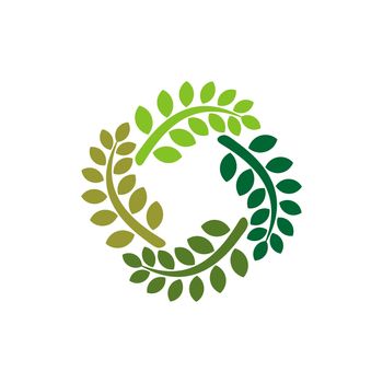 Green Leaves Circle Ornamental Logo Template illustration design EPS 10