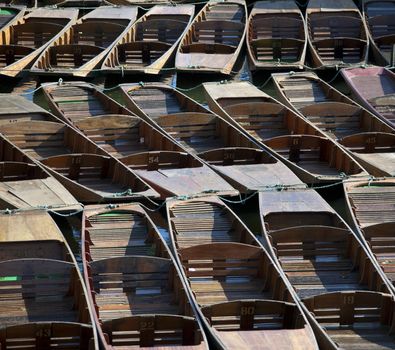 Punts tied up on the river isis or thames