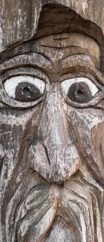 Sculpture of a senior with moustaches, engraved in the trunk of a tree. It can be used as backgrounds.