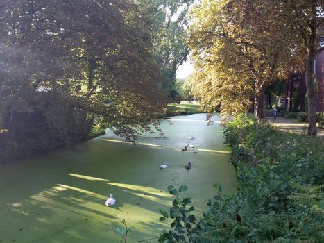 View of Ede-Wageningen, beautiful city in the Netherlands with an important university campus