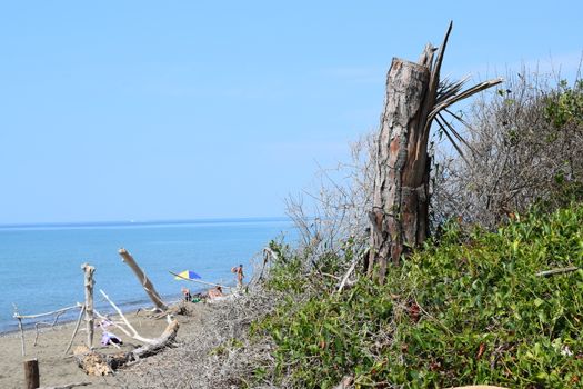 Beach and sea of Marina di Cecina, Maremma, Tuscany, Italy, Europe