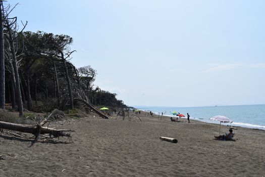 Beach and sea of Marina di Cecina, Maremma, Tuscany, Italy, Europe