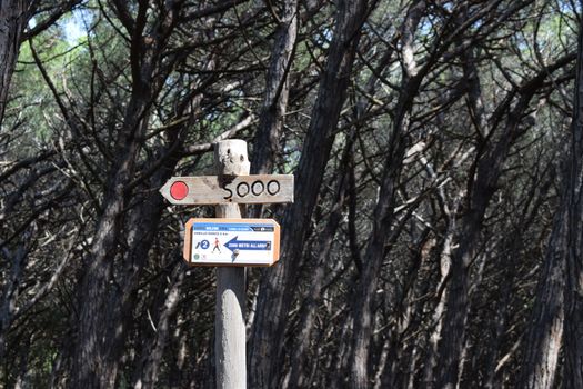 Sign in the pine trees and pinewood forest on the seaside, Beach and sea of Marina di Cecina, Maremma, Tuscany, Italy, Europe