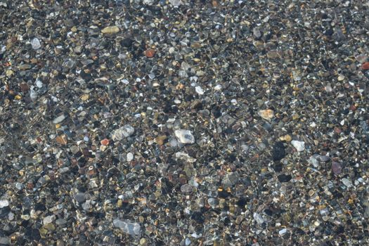 Beach and sea of Marina di Cecina, Maremma, Tuscany, Italy, Europe