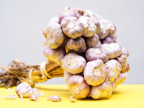 close-up of Garlic Plants for Cooking And medicinal herbs and spices