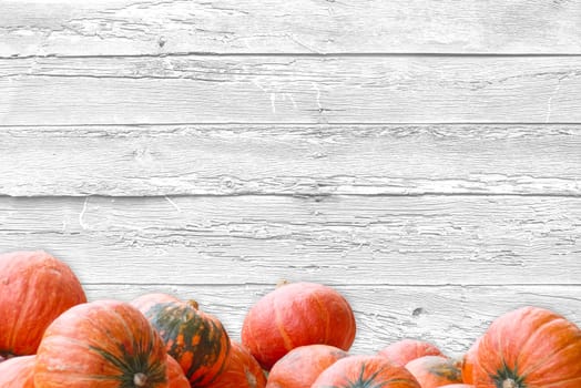 stack of pumpkins on blank white wood background autumn season greeting bacground 