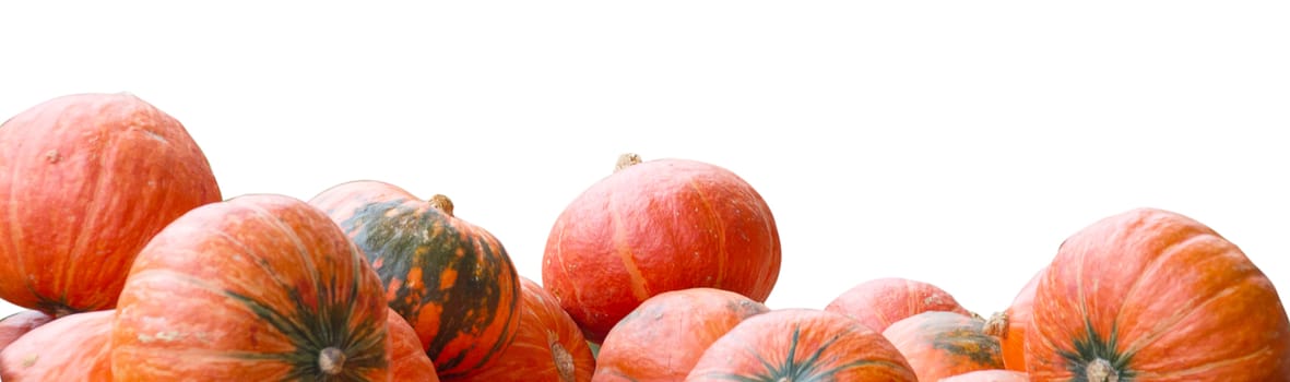 Stack of pumpkins isolated with clipping path autumn season background