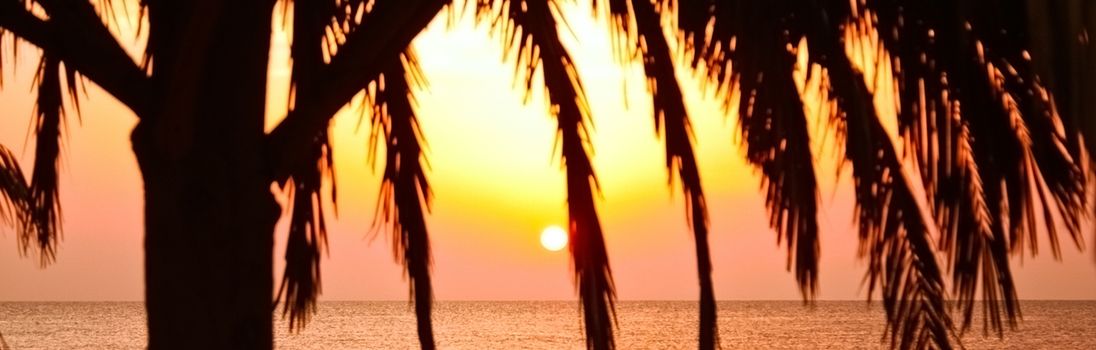 Sunrise on the beach in summertime, palm tree and sun over horizon, holiday travel and beautiful nature concept