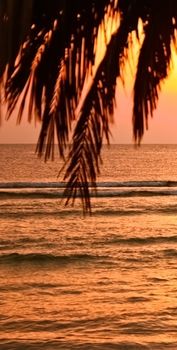 Sunrise on the beach in summertime, palm tree and sun over horizon, holiday travel and beautiful nature concept