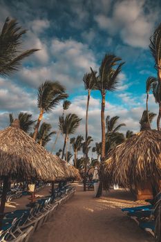Amazing sunset light on punta cana beach with lounge chairs, umbrellas and palms. Landscape of paradise tropical island beach with perfect blue sunny sky. Carribean vacation, beautiful sunset over tropical beach in Punta Cana.