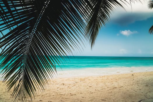 A look at the Caribbean Sea through the branches of a tropical plant. Landscape of paradise tropical island beach with perfect blue sunny sky. Vacation holidays summer background. Caribbean wild nature scenery near the beach in Saona.