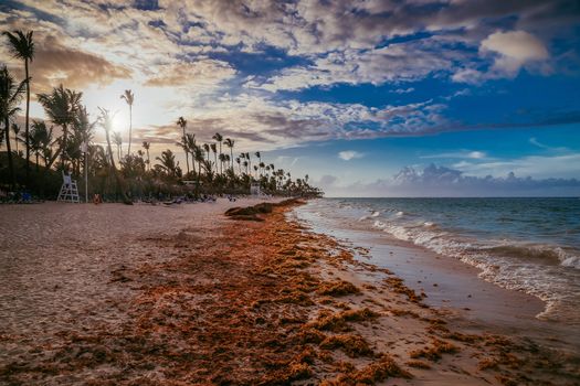 Landscape of paradise tropical island beach, sunset shot against the sun. Amazing sunset light on Punta Cana beach with lounge chairs, umbrellas and palms. Sunset over the beach.