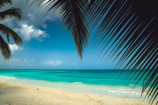 A look at the Caribbean Sea through the branches of a coconut palm. Landscape of paradise tropical island beach with perfect blue sunny sky. Vacation holidays summer background. Caribbean wild nature scenery near the beach in Saona.