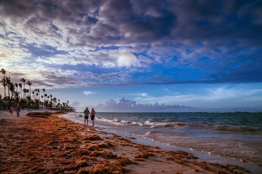Sunset in Punta Cana in Dominican Republic. A Couple Walking at the Resort Tropical Beach in Punta Cana, Dominican Republic. Dramatic sunset over the exotic beach, Punta Cana, Dominican Republic, with palms and white sand beaches for a relaxing beach.