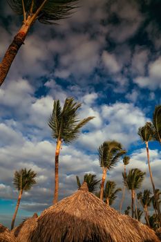 Vacation in tropical countries. Beach chairs, umbrella and palms on the beach. Beautiful tropical beach with coconut palm and blue sky.