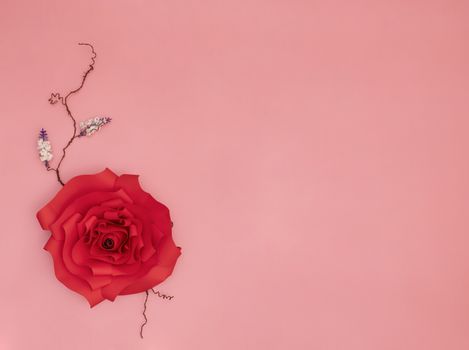 A red paper rose and tiny white flowers with dried veins on salmon pink background.