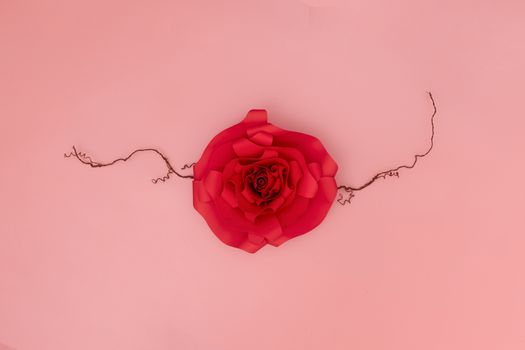 A red paper rose with dried veins on salmon pink background.