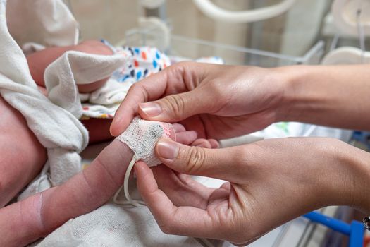 A nurse applying an oximeter on a newborn infant. Closeup with selective focus on the hands. Neonatal care.