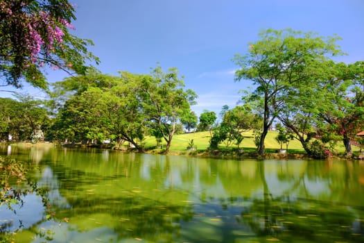 A view of a serene pond with green grass and large shading trees which appear hazy on the top because of the gentle breeze. Long exposure film.