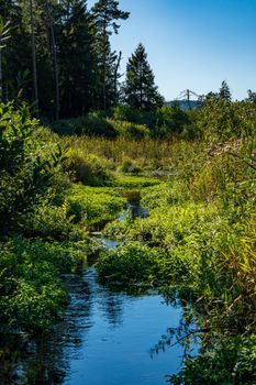 Fantastic hike through the Pfrunger-Burgweiler-Ried nature reserve in autumn