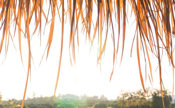 Dry grass roof on country farm background. Tropical house summer vacation concept.