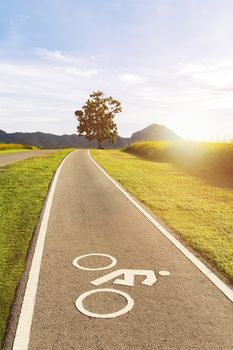 Scenery bicycle lane on a hill with a tree, blue sky and mountain forest background.