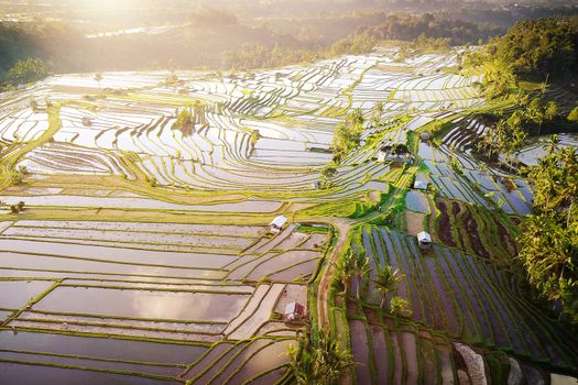 Aerial view of Bali Rice Terraces. The beautiful and dramatic rice fields of Jatiluwih in southeast Bali have been designated the prestigious UNESCO world heritage site.