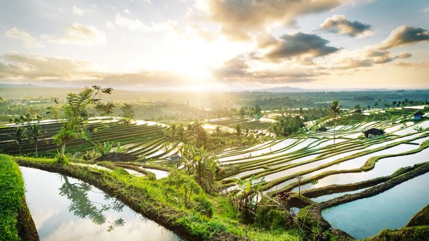 Beautiful sunrise over the Jatiluwih Rice Terraces in Bali, Indonesia.