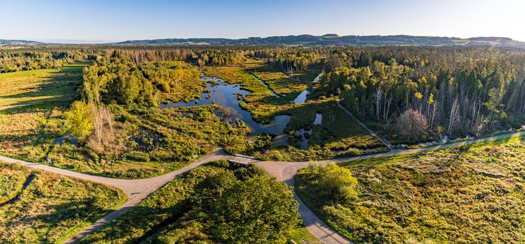 Fantastic hike through the Pfrunger-Burgweiler-Ried nature reserve in autumn